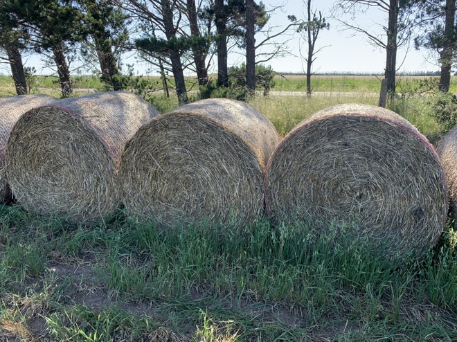ROUND OATEN HAY FOR SALE - CLEARANCE 