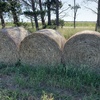 ROUND OATEN HAY FOR SALE - CLEARANCE 