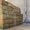 300mt Vetch Hay 720kg 8x4x3 Bales (New Season)