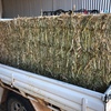 100mt Canola Hay 8x4x3