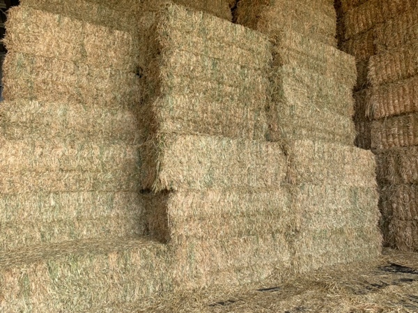 Oaten Hay 630-670kgs Bales Shedded