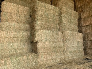 Oaten Hay 630-670kgs Bales Shedded
