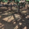 **** Price Reduced**** Smale 40ft airseeder + 5700 litre Simplicity aircart