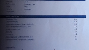 60 x Sorghum Hay 5x4 Bales + Freight 