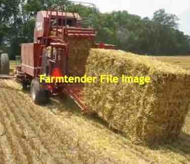 Horse Quality Oaten Straw in Small Square Baron Packs