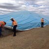 GRAIN BUNKER TARPS (QTY X 4)  50M X 30M AUSSIE MADE - BRAND NEW