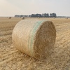 50mt Oaten Straw 5x4 Rolls
