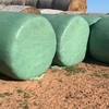 200 + Clover Rye Silage Rolls