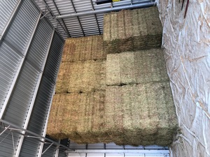200 m/t A1 Vetch Hay 8x4x3 Bales Seller to Freight