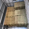 200 m/t A1 Vetch Hay 8x4x3 Bales Seller to Freight