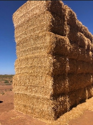 Oaten Straw 200 mt