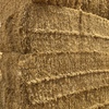 Barley Straw