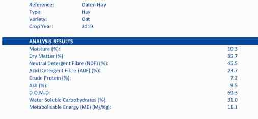 3000 m/t New Season Oaten Hay WEED FREE