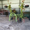 Claas Tedder
