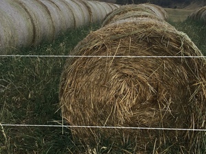Oaten Hay 4ft Round Bales