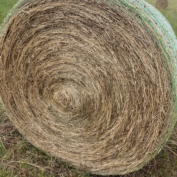 Clover & Rye pasture rolls - $55 per roll