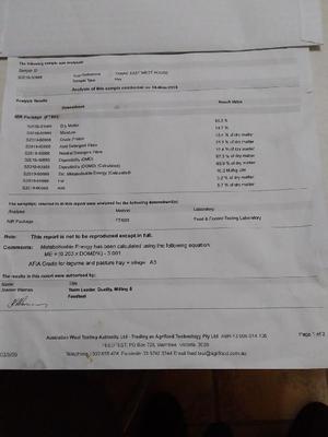 140mt Barley & Vetch Hay 600kg 8x4x3 Bales