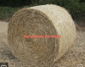 Wheat/Vetch Hay 5x4 Rounds 