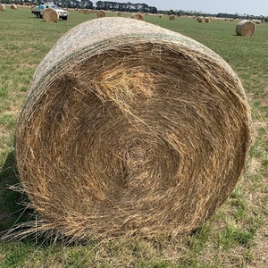 Rye round bales
