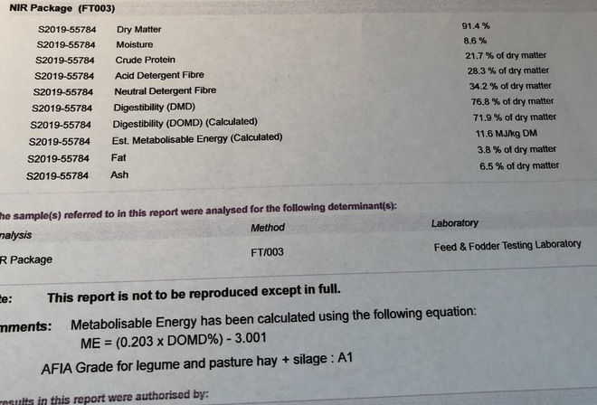 New Season A1 Vetch Hay 8x4x3 Bales