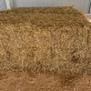 130mt Barley Hay 650kg 8x4x3 Bales (New Season)