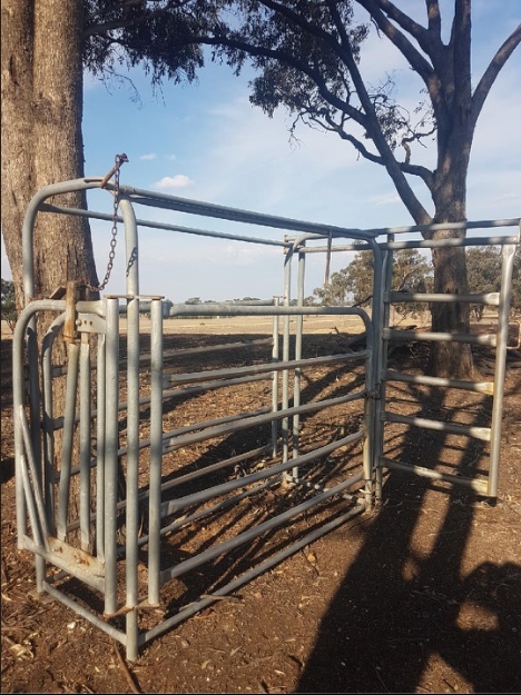 Cattle Crush/Head Bale