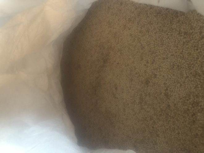 French white millet seed 