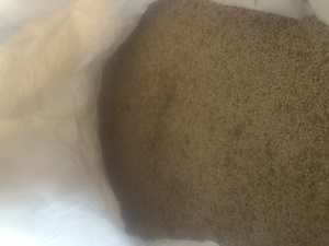 French white millet seed 