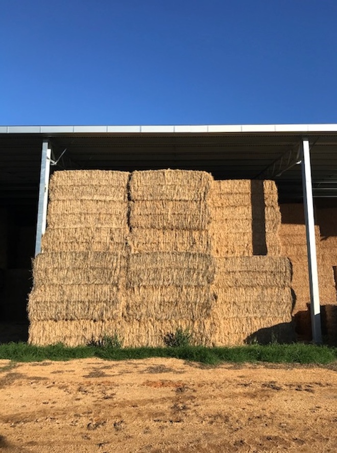 100mt Barley & Rye Hay 550-580kg 8x4x3 Bales + Freight
