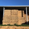 100mt Barley & Rye Hay 550-580kg 8x4x3 Bales + Freight