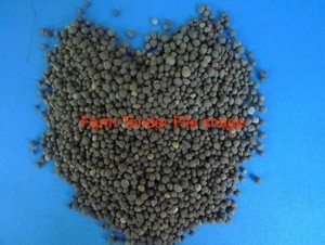 DAP Fertilizer