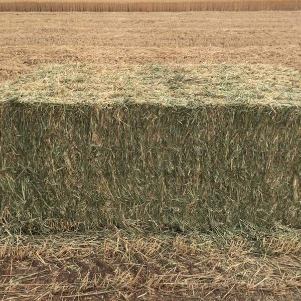 wheaten hay 550kg 8x4x3