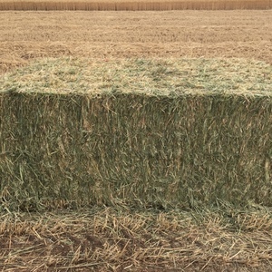 wheaten hay 550kg 8x4x3
