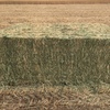wheaten hay 550kg 8x4x3