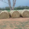 40 x Clover & Rye Grass 5x4 Round Bales 