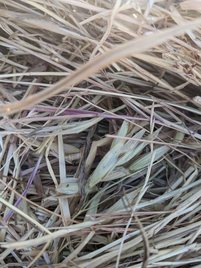 Oaten/Rye Hay - 4x4