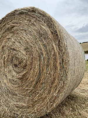  PASTURE HAY - 5FT ROUNDS - WEED FREE