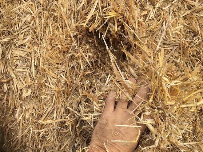 Barley Straw - Header Trail 8x4x4 