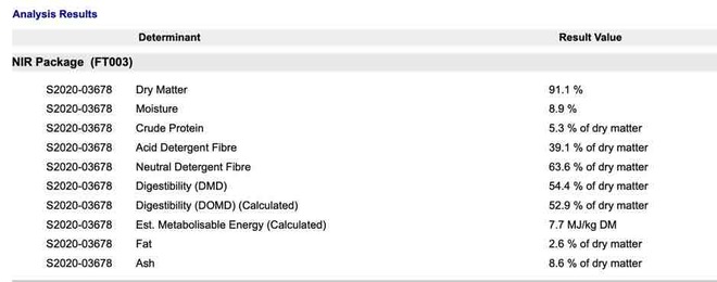 800 x 8x4x3 Bales of Annual rye has approximately 10 % beans in it
