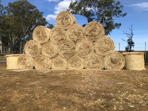 Hay for Sale 