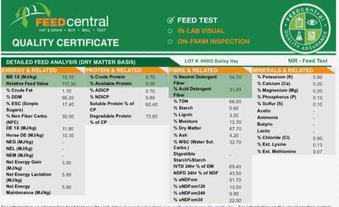 200mt Barley Hay 620kg 8x4x3 Bales 