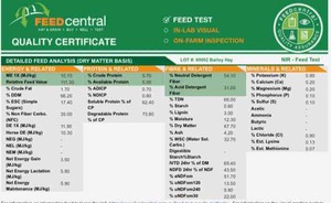 200mt Barley Hay 620kg 8x4x3 Bales 