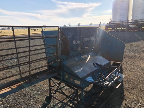 The Henry Young Gun Crutcher For Sale