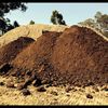 Chicken Manure Fertiliser