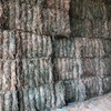Wheaten Hay 8x4x3 Bales approx. 580kg