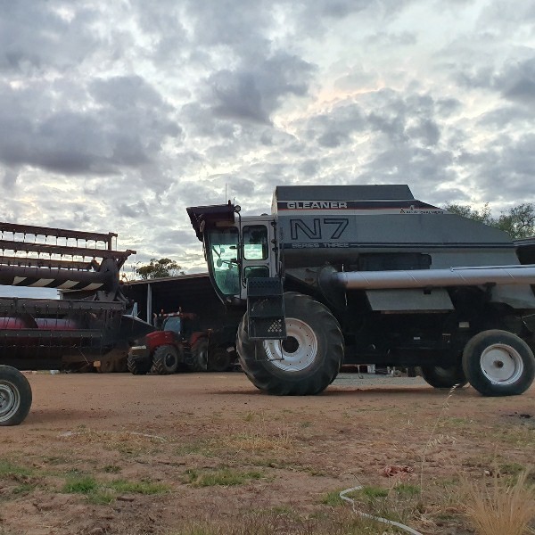 Gleaner N7 & 25ft flex head. NEW AUGER, REBUILT HYDRO