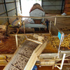 Complete EDP Potato Washing Line