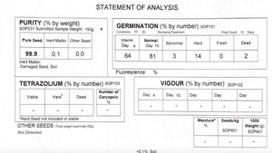 3m/t Arrowleaf Clover 