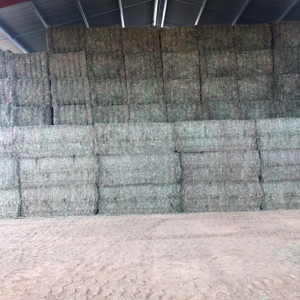 vetch hay - 3 bdoubles