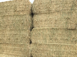 90mt Oaten Hay 8x4x3 Bales